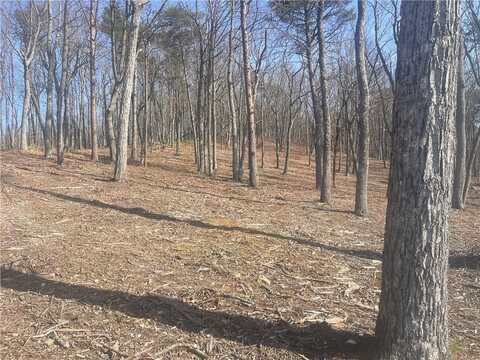 Lot 21 High Summit Drive, Talking Rock, GA 30175