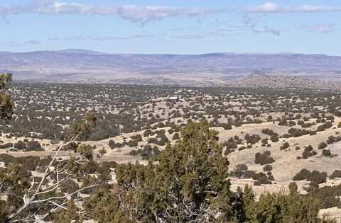 48 Pinon Springs, Magdalena, NM 87825