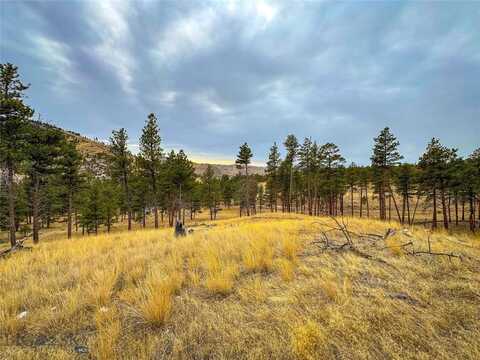 40 Acres American Bar Road, Helena, MT 59602