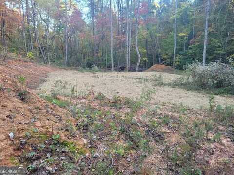 Lot 12 Oscar, Ellijay, GA 30540