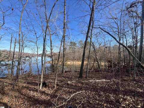 00 Rabon Creek Circle, Waterloo, SC 29384