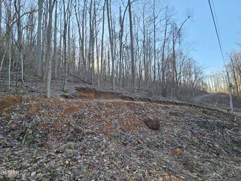 Lot 30 Grand Country, Cosby, TN 37722