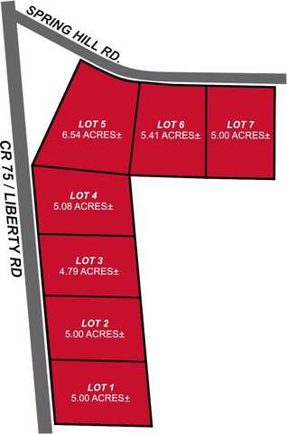 Lot 6 Springhill Rd, Millport, AL 35576