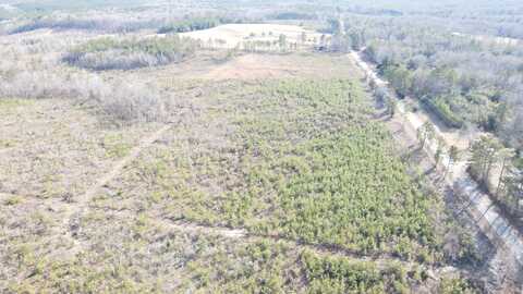 Lot 3 Liberty Rd, Millport, AL 35576