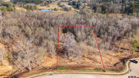 4225 Savannah Hills Ln (Lot 12), Longview, TX 75605