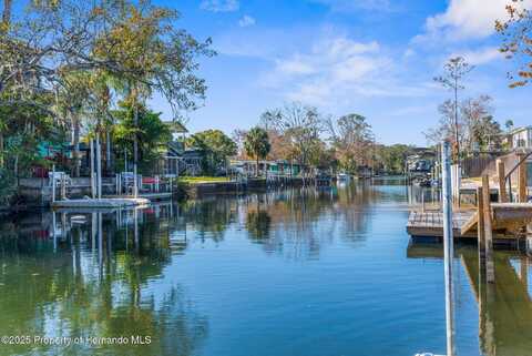 5401 Circle Drive, Weeki Wachee, FL 34607