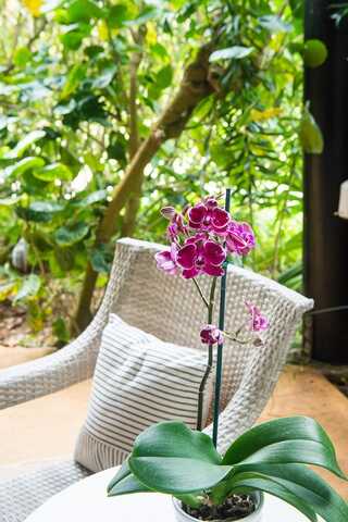 3920 WYLLIE RD unit: 9A, Princeville, HI 96722
