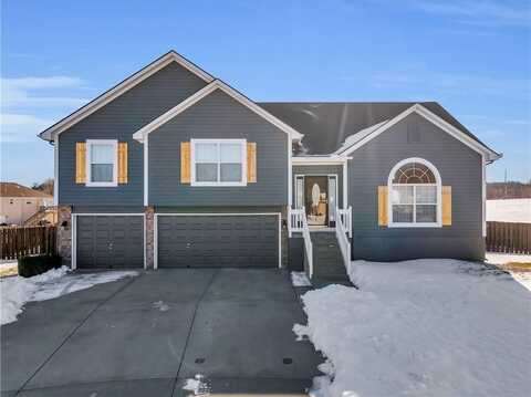 207 NW Willow CT N/A, Grain Valley, MO 64029