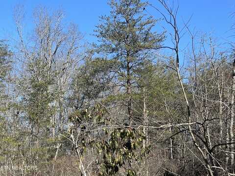 Lot 396 Cleggan Dr Drive, Crossville, TN 38572