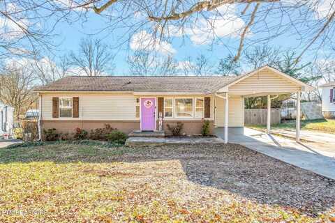 209 Woodlawn Drive, Kingston, TN 37763