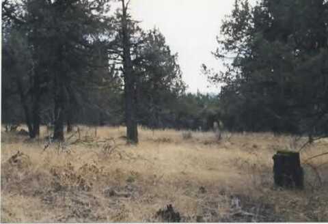 Wildhorse Drive, Bonanza, OR 97623