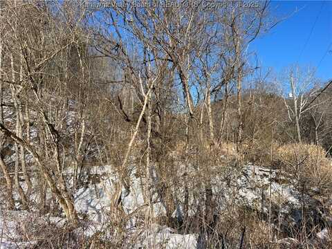 0 Elk River Road, Clendenin, WV 25045