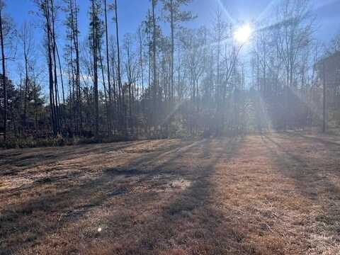 1870 Chicora Greene County Rd, Buckatunna, MS 39322