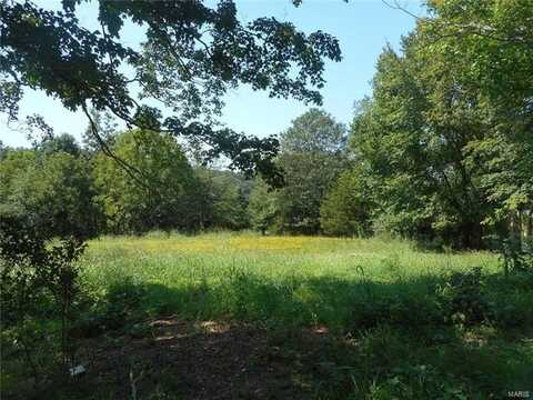 1044 Wayne County Road 350, Piedmont, MO 63957