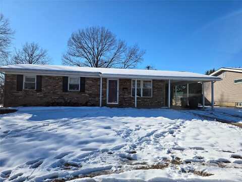 105 Juanita Street, Troy, MO 63379