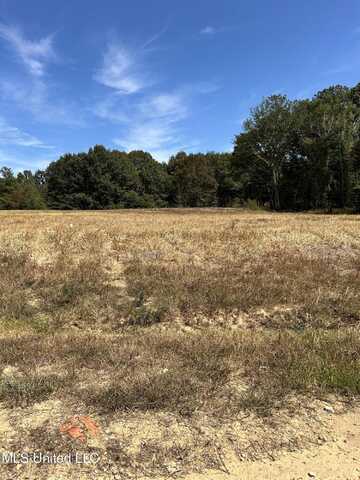 14 Pebble View Drive, Byhalia, MS 38611