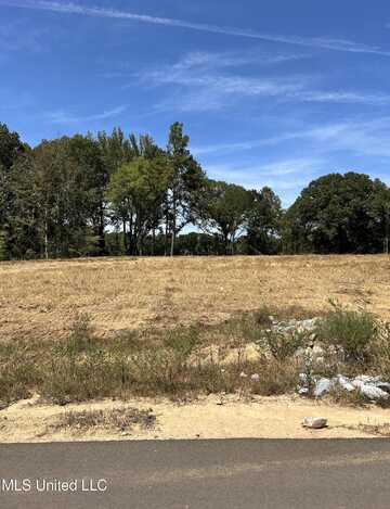 18 Pebble View Cove, Byhalia, MS 38611