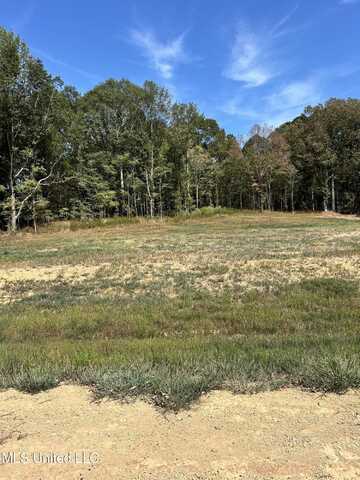 20 Pebble View Drive, Byhalia, MS 38611