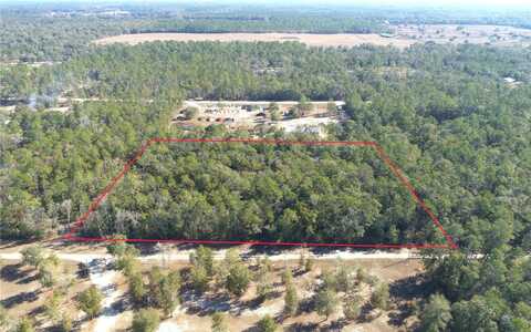 NE 135TH TERRACE, WILLISTON, FL 32696