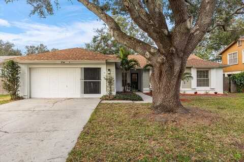 17514 SHADYSIDE CIRCLE, LUTZ, FL 33549