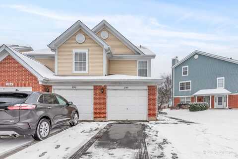 296 Ashbury Lane E, Roselle, IL 60172