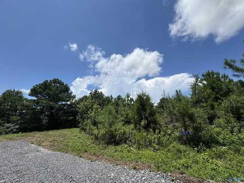 6 Razorback Way, Albertville, AL 35951