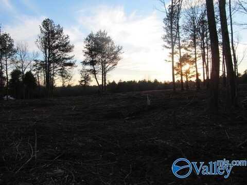 6 Martling Road, Albertville, AL 35951