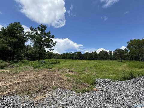 4 Razorback Way, Albertville, AL 35951