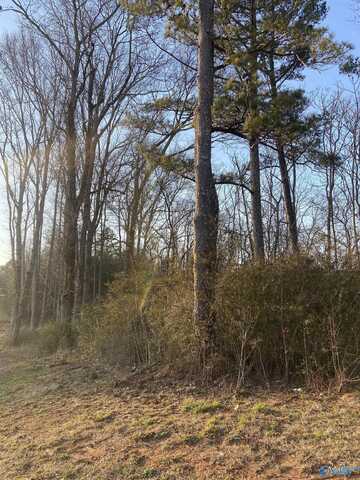 1 Acre Hwy 227, Guntersville, AL 35976