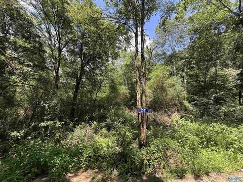 15 Hogs Lane, Albertville, AL 35951