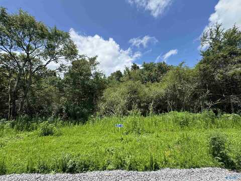 13 Hogs Lane, Albertville, AL 35951