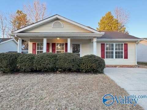 138 Sandy Hollow Drive, Madison, AL 35757