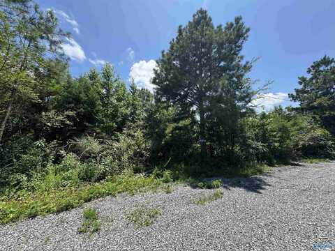 9 Hogs Lane, Albertville, AL 35951