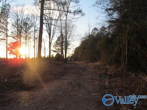 5 Martling Road, Albertville, AL 35951