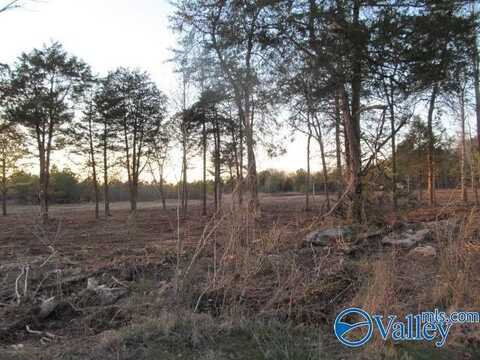 2 Martling Road, Albertville, AL 35951