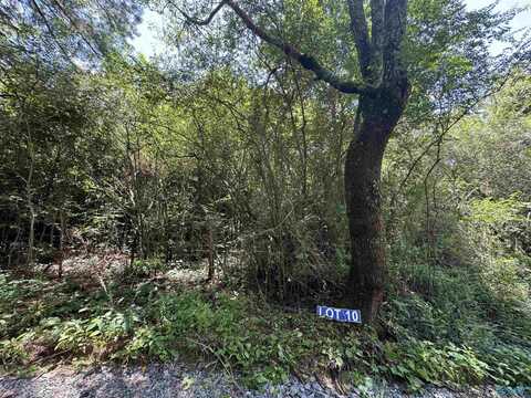 10 Hogs Lane, Albertville, AL 35951