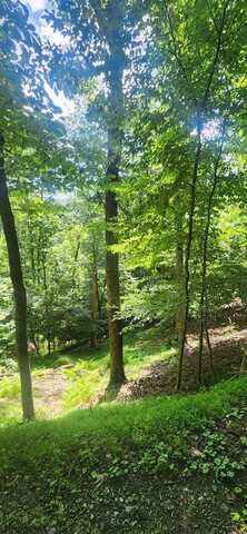 Mohawk Trail, Ellijay, GA 30540