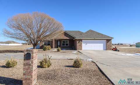 143 Crest Point, Portales, NM 88130