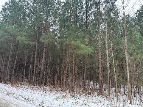 Lot 2 Lewis Lane, Heathsville, VA 22473