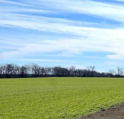 Tbd Farm Road 834, Roxton, TX 75477