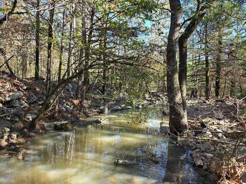 0 TBD Raw Land, Bates, AR 74953