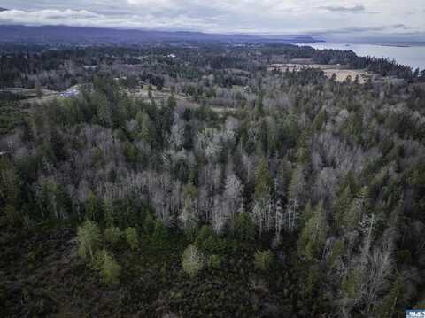 9999 Bobcat Hollow Road, Port Angeles, WA 98362