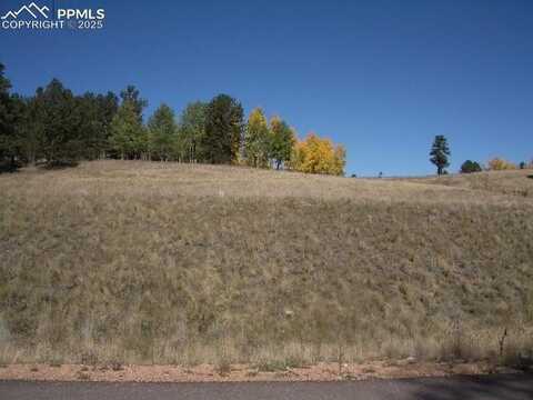 307 Pinaceae Heights, Divide, CO 80814