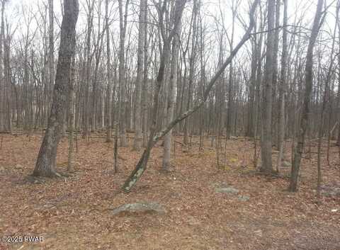 Lot 268 Evergreen Court, Lackawaxen, PA 18428