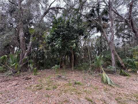 378 N Robin Hood Road, Inverness, FL 34450