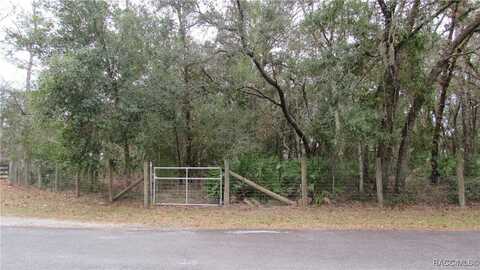 6204 W Dressel Court, Homosassa, FL 34446