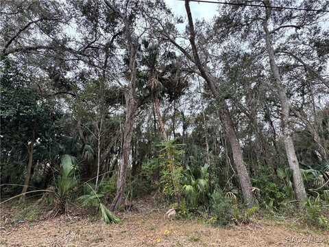 5749 N Brookgreen Drive, Crystal River, FL 34428