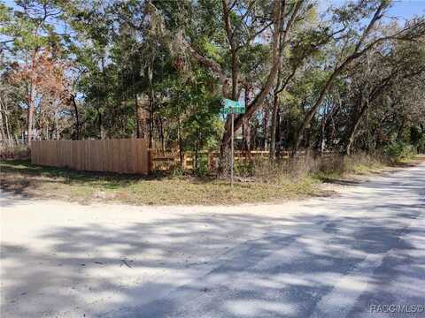 6642 W Pershing Drive, Homosassa, FL 34448