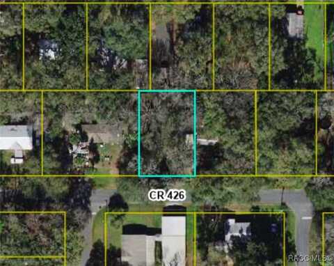 Lot 16 CR 426 Road, Lake Panasoffkee, FL 33538