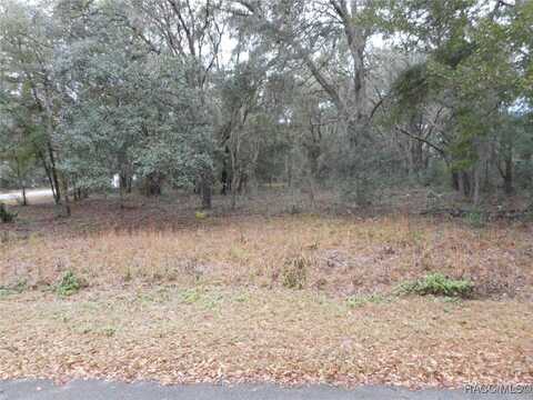 Lot 15 SW Waterview, Dunnellon, FL 34431